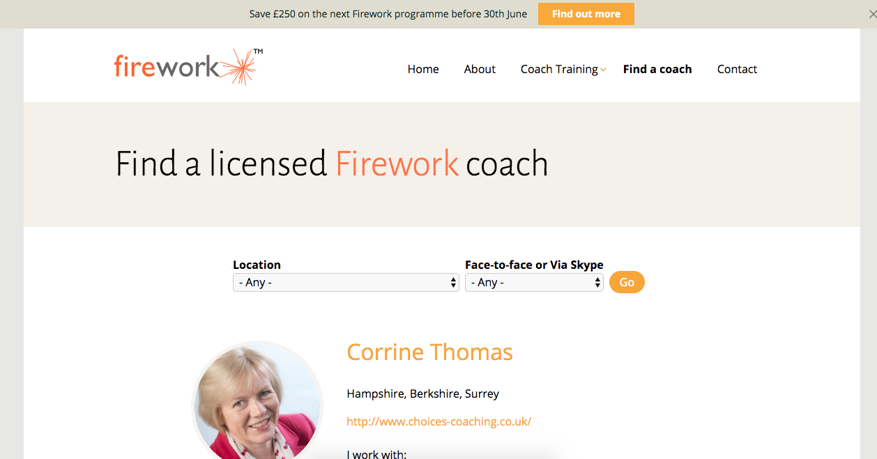 Firework Coaching – Acelin Creations